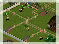 Bison-Farm